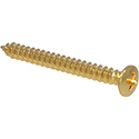 Toronzo Neck Plate Screw TZ-03-Gold