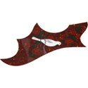 Toronzo Pickguard AC-Dove