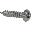 Tuner Screws S-CHR-100pcs