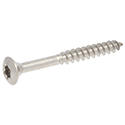 Neck Plate Screw Star-4024