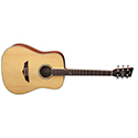 VGS RT-10 Dreadnought Natural Satin