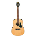 Ibanez Acoustic Jam Pack 6-Str V50NLJP-NT