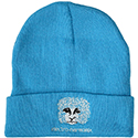 Electro Harmonix Beanie Turqoise