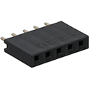 Female Pin Header PH161-5-STR