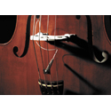 Fishman PRO-FCL-001