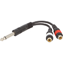 Y-Cable 1PM2CFH