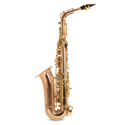 Roy Benson Eb alto saxophone Roy Benson AS202G AS-202G