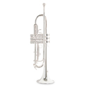 Roy Benson Bb trumpet Roy Benson TR-202S TR-202S