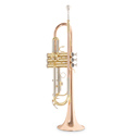 Roy Benson Bb trumpet Roy Benson TR-202G TR-202G