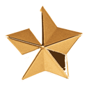 Grover Star Button, gold