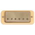 Seymour Duncan ANTII-AMHN