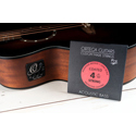 Ortega String Set 4-String ABP-4