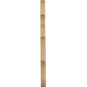 Meinl Percussion Rainstick 39 inch