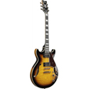 Ibanez Artcore Express. 6-Str AM93QM-AYS