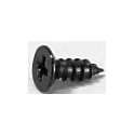 Ibanez Anchor Screw 12 Pcs.