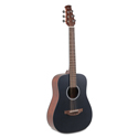 ovation Applause AAT96-4S Frosted