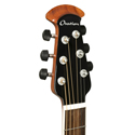 ovation Ovation 1516SSM-G Silver Shadow
