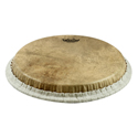 Remo Percussion head Skyndeep Conga 11.75 inch M7-1175-S6-SD003