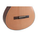GEWA Classical Guitar Student Cedar 4/4 size natural