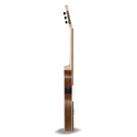 Manuel Rodriguez ECOLOGY Elektro-Akustik Samba Plano Series Samba E-Acoustics