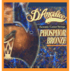 D'Angelico PB-XL-12 12-string Phosphor Bronze