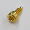 Ibanez Screw Set 2 Pcs, Gold