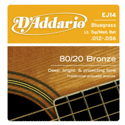 D'Addario EJ14