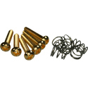 Pickup Screws SC-GD-6pcs