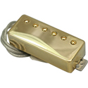 Rio Grande Baby Texas Humbucker Gold BTXGC