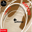 Galli Acoustic AGP1253