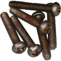 QPX-Aged Pickup Screws 6-32-PAN