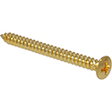 Toronzo Neck Plate Screw TZ-02-Gold