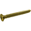 Toronzo Neck Plate Screw TZ-03-Gold