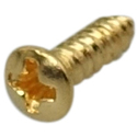 Pickguard Screws GIB-20 Gold
