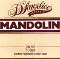 D'Angelico Mandolin 700M