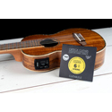 Ortega String Set 6-String GTLS