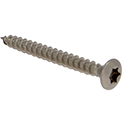 Neck Plate Screw Star-4024-TX20