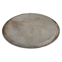Latin Percussion Percussion head Plenera 12 inch