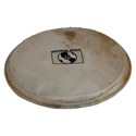 Latin Percussion Percussion head Plenera 10 inch