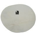 Toca Djembe skin Flat Skin 14 inch Natural (up to 10 inch) TD-DJHD10
