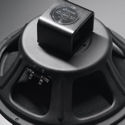 Jensen Blackbird 40 AlNiCo 8 Ohm