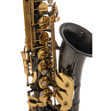 Roy Benson Eb alto saxophone Roy Benson AS-202K AS-202K