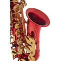Roy Benson Eb alto saxophone Roy Benson AS-202R AS-202R