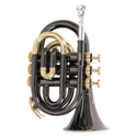 Roy Benson Bb pocket trumpet Roy Benson PT-101K PT-101K