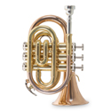Roy Benson Bb pocket trumpet Roy Benson PT-101G PT-101G