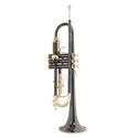 Roy Benson Bb trumpet Roy Benson TR-101K TR-101K