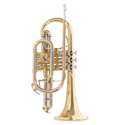 Roy Benson Bb cornet Roy Benson CR-302 CR-302