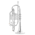 Roy Benson Bb cornet Roy Benson CR-302S CR-302S