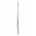Roy Benson Roy Benson FL-602E flute FL-602E