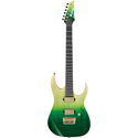 Ibanez Signature Guitar 6-Str LHM1-TGG